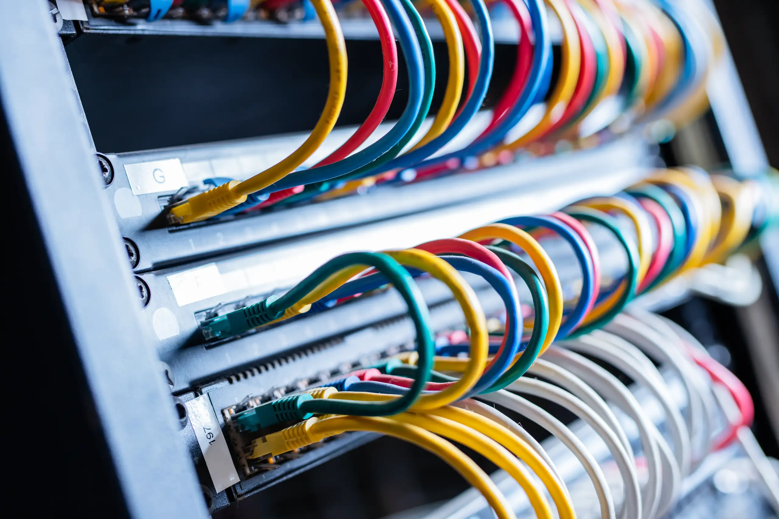 Różnokolorowe kable sieciowe w gniazdach montowanych w szafie serwerowej